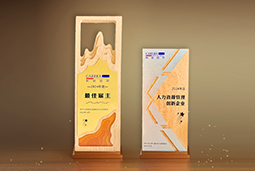 太阳成tyc234cctyc国际一举斩获“2024年度中国区最佳雇主”等多项大奖